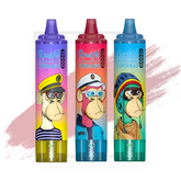 RandM Tornado 15000 Züge Einweg Vape (Schachtel mit 10 stück)